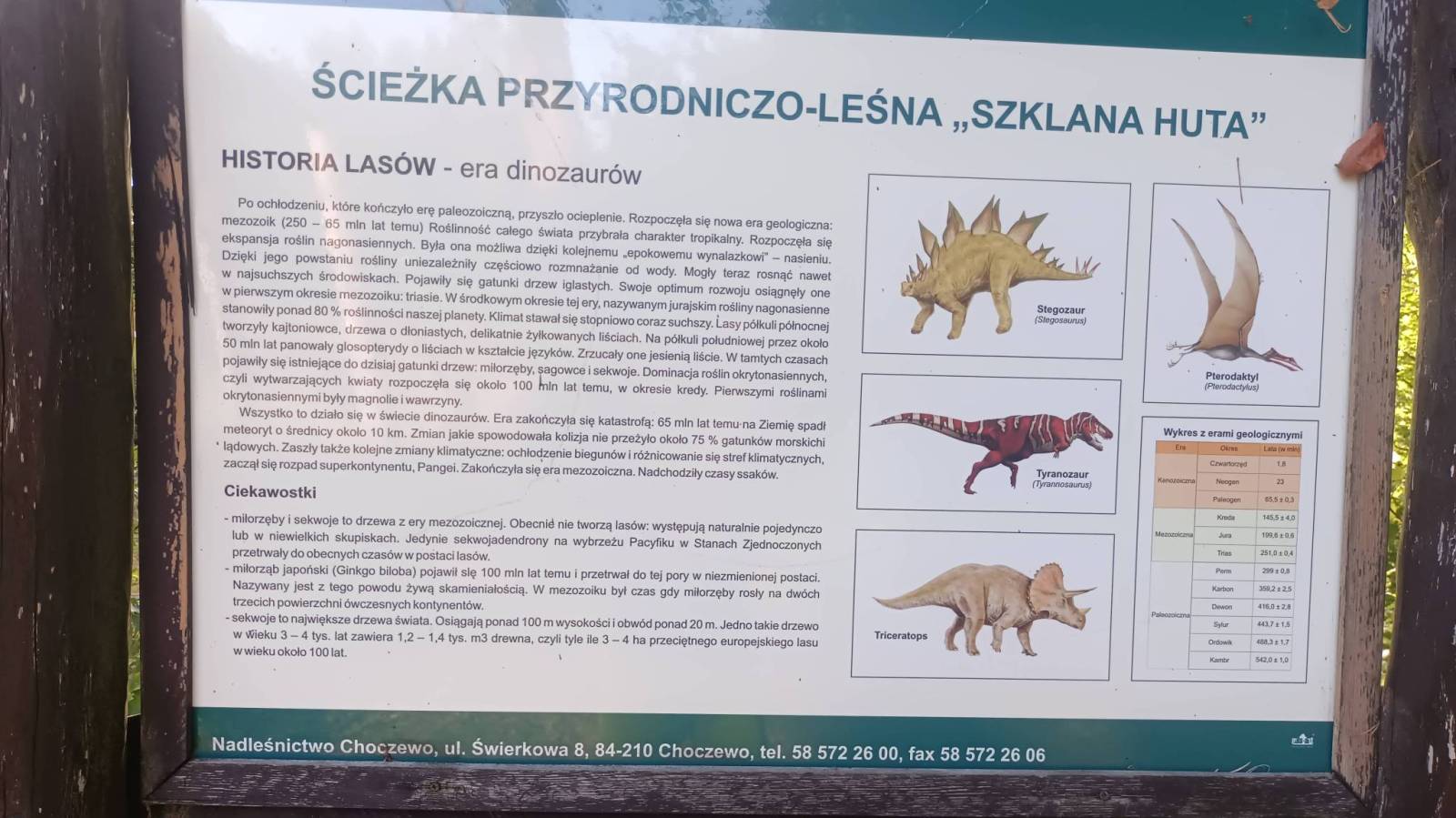 Zdjęcie 4