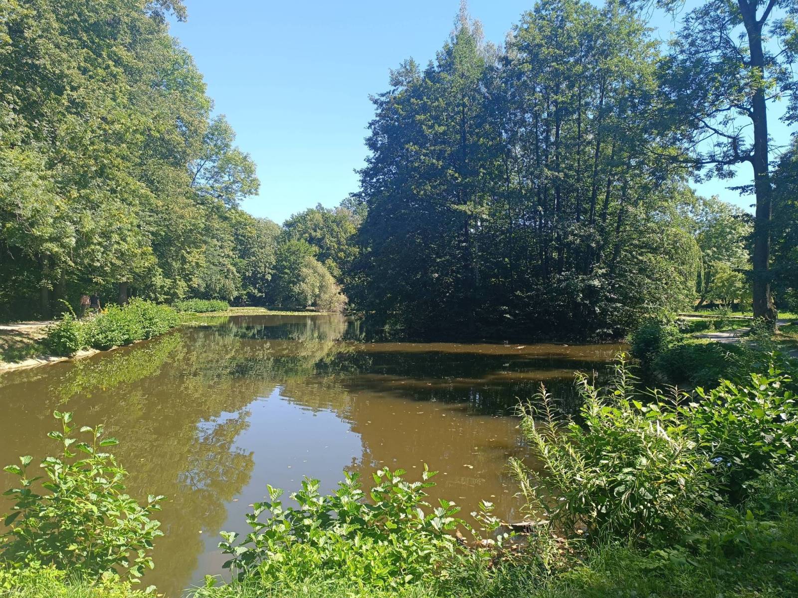 Zdjęcie 2