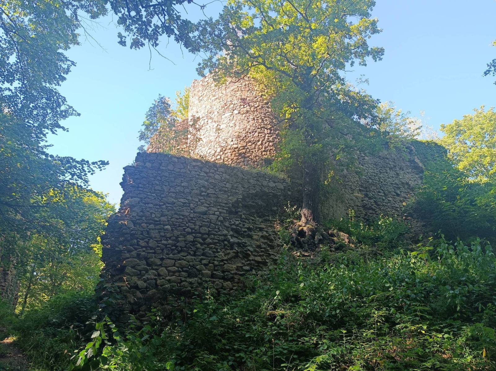 Zdjęcie 6