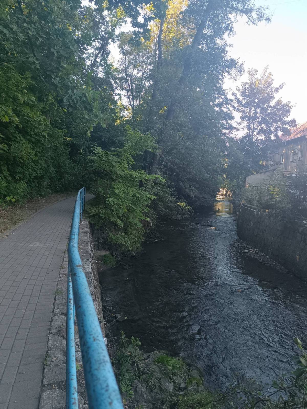 Zdjęcie 6