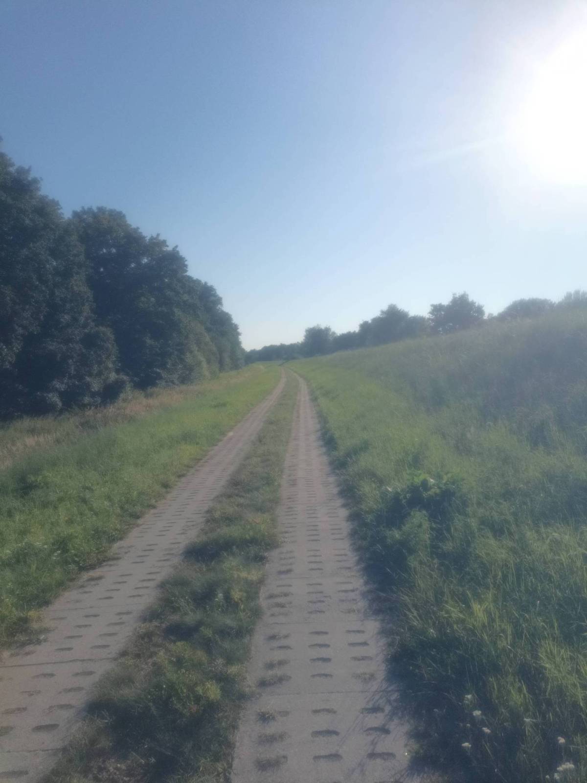 Zdjęcie 4