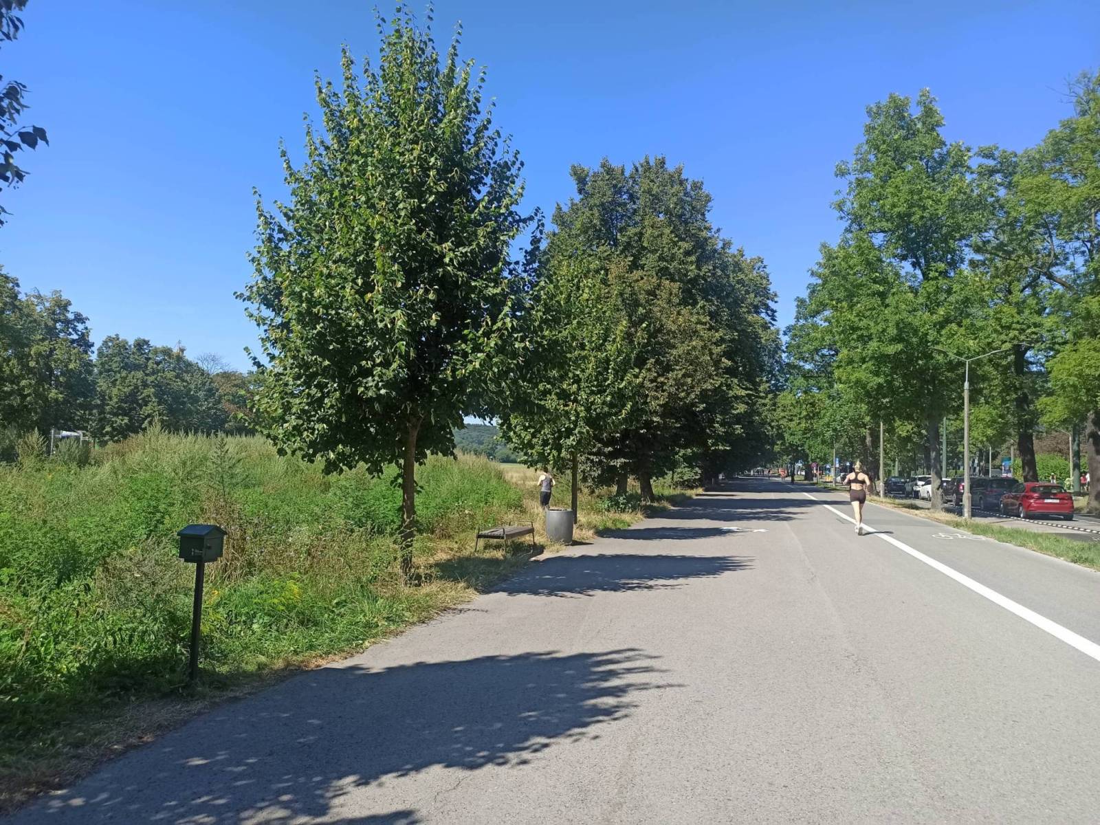 Zdjęcie 6