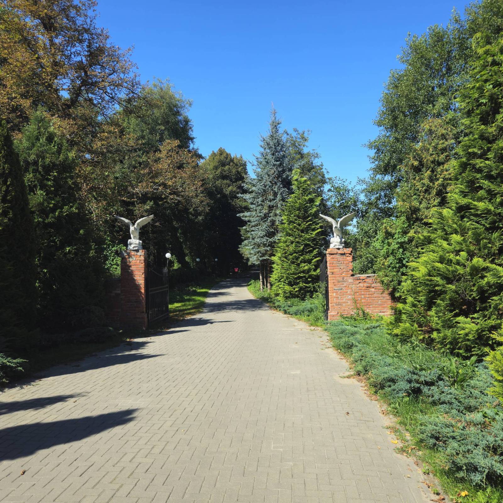 Zdjęcie 1