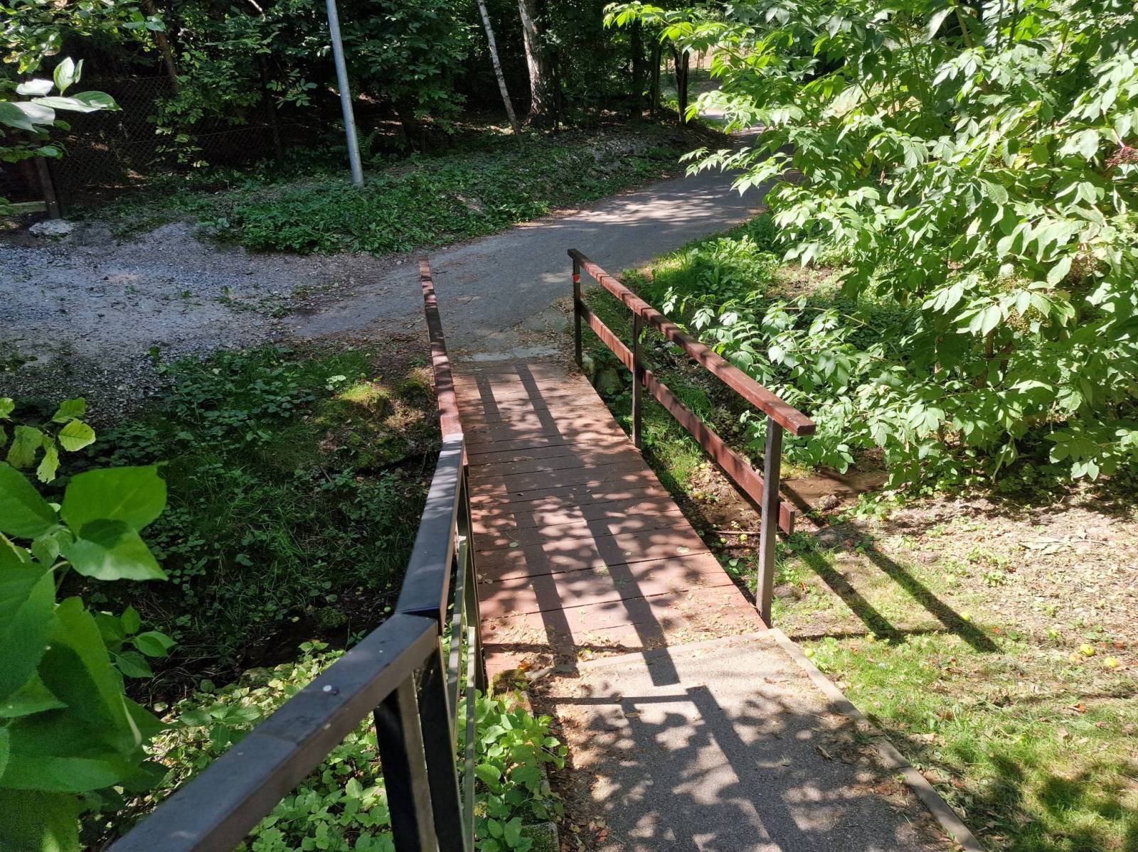 Zdjęcie 6