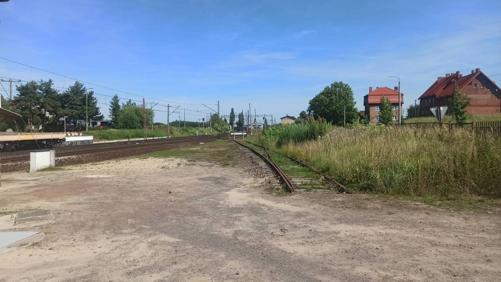 Zdjęcie 3
