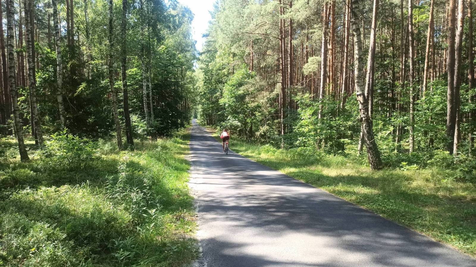 Zdjęcie 4