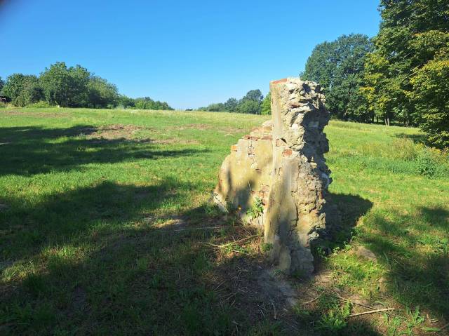 thumb-image