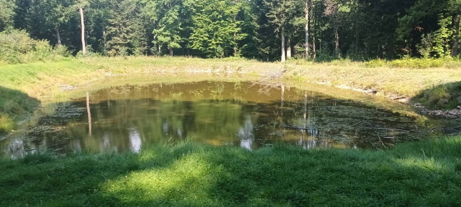 Zdjęcie 1