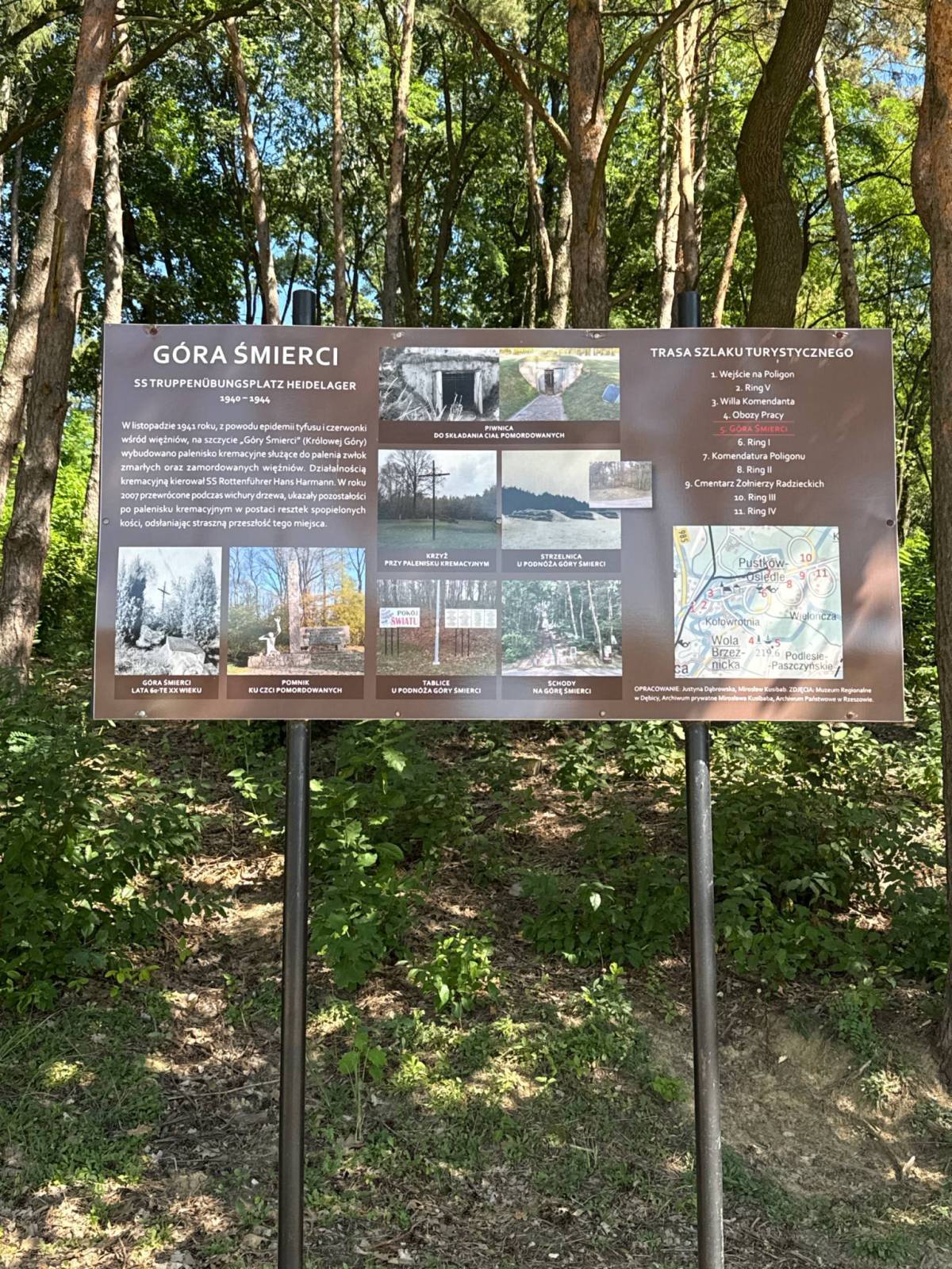 Zdjęcie 4