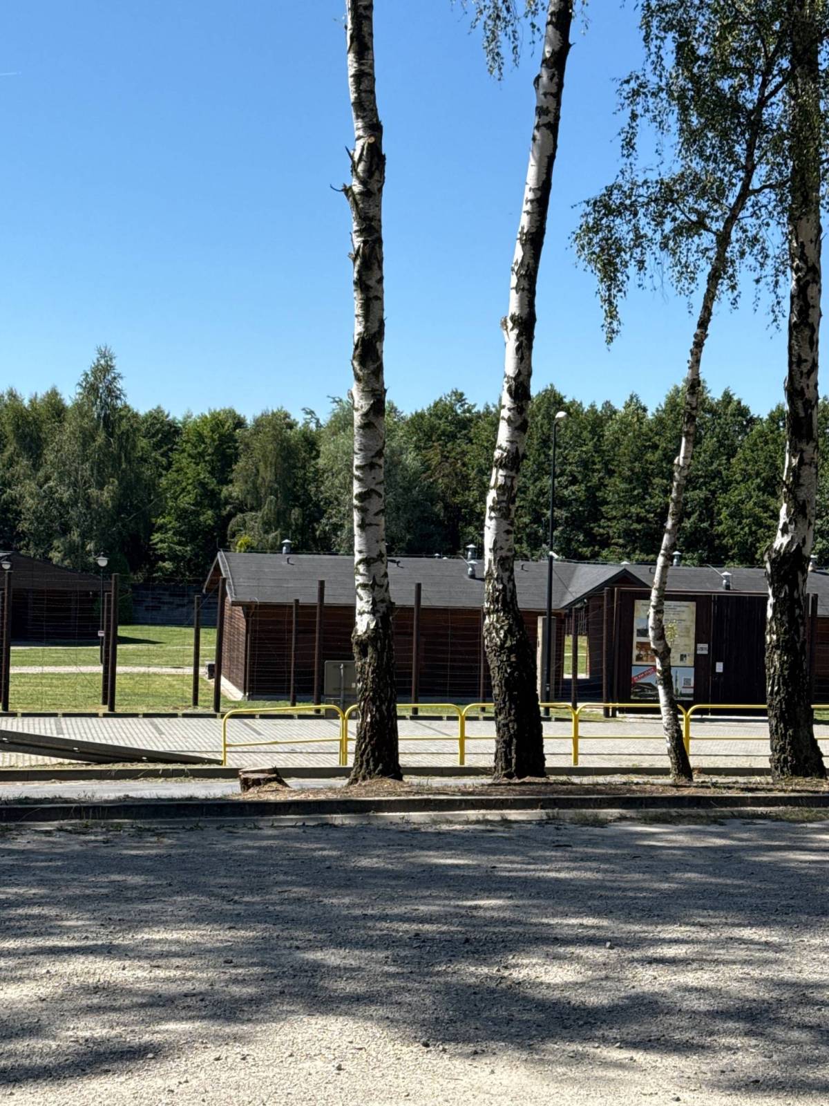 Zdjęcie 5