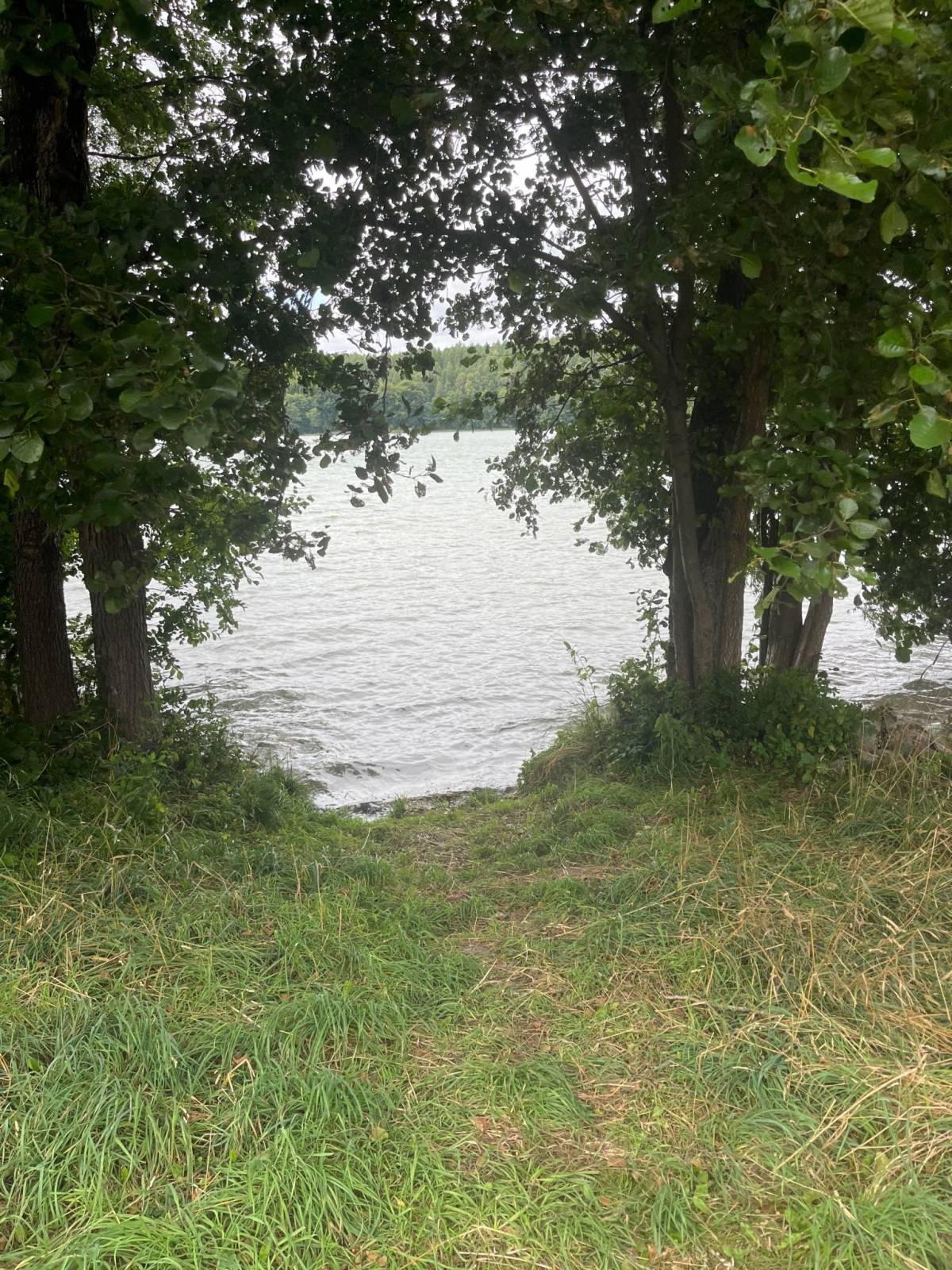 Zdjęcie 1