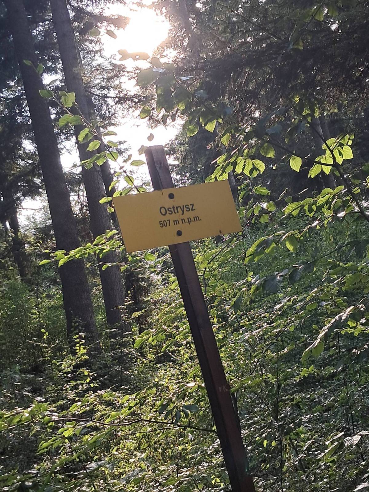 Zdjęcie 2