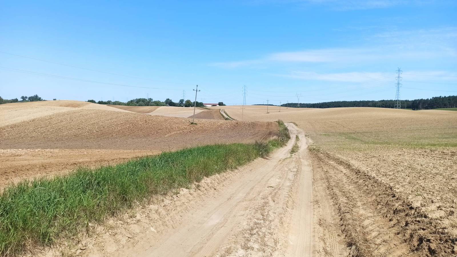 Zdjęcie 6