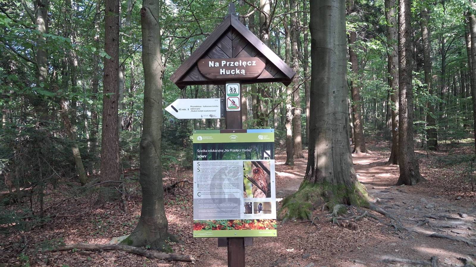 Zdjęcie 4