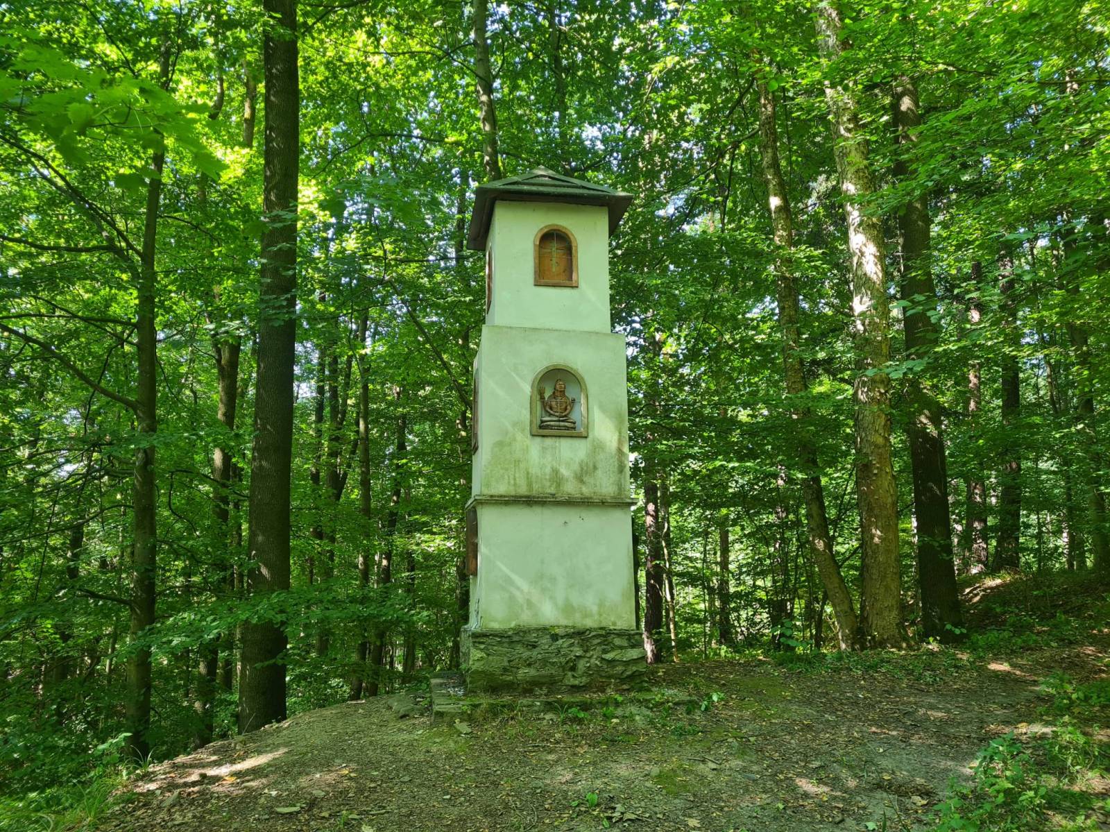 Zdjęcie 6