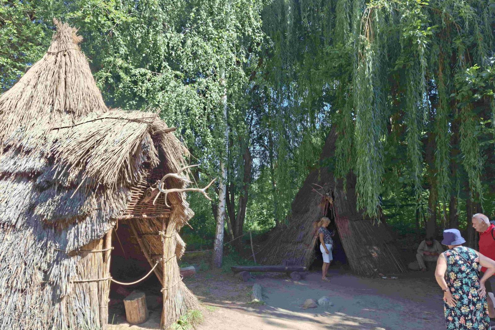 Zdjęcie 6