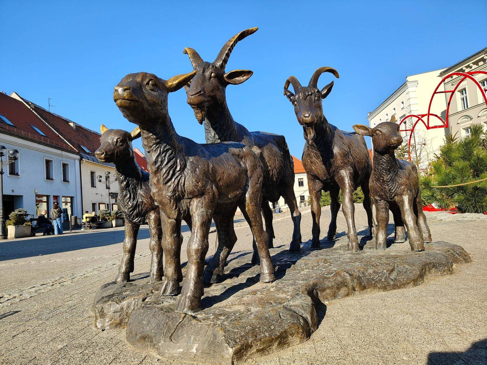 Zdjęcie 5