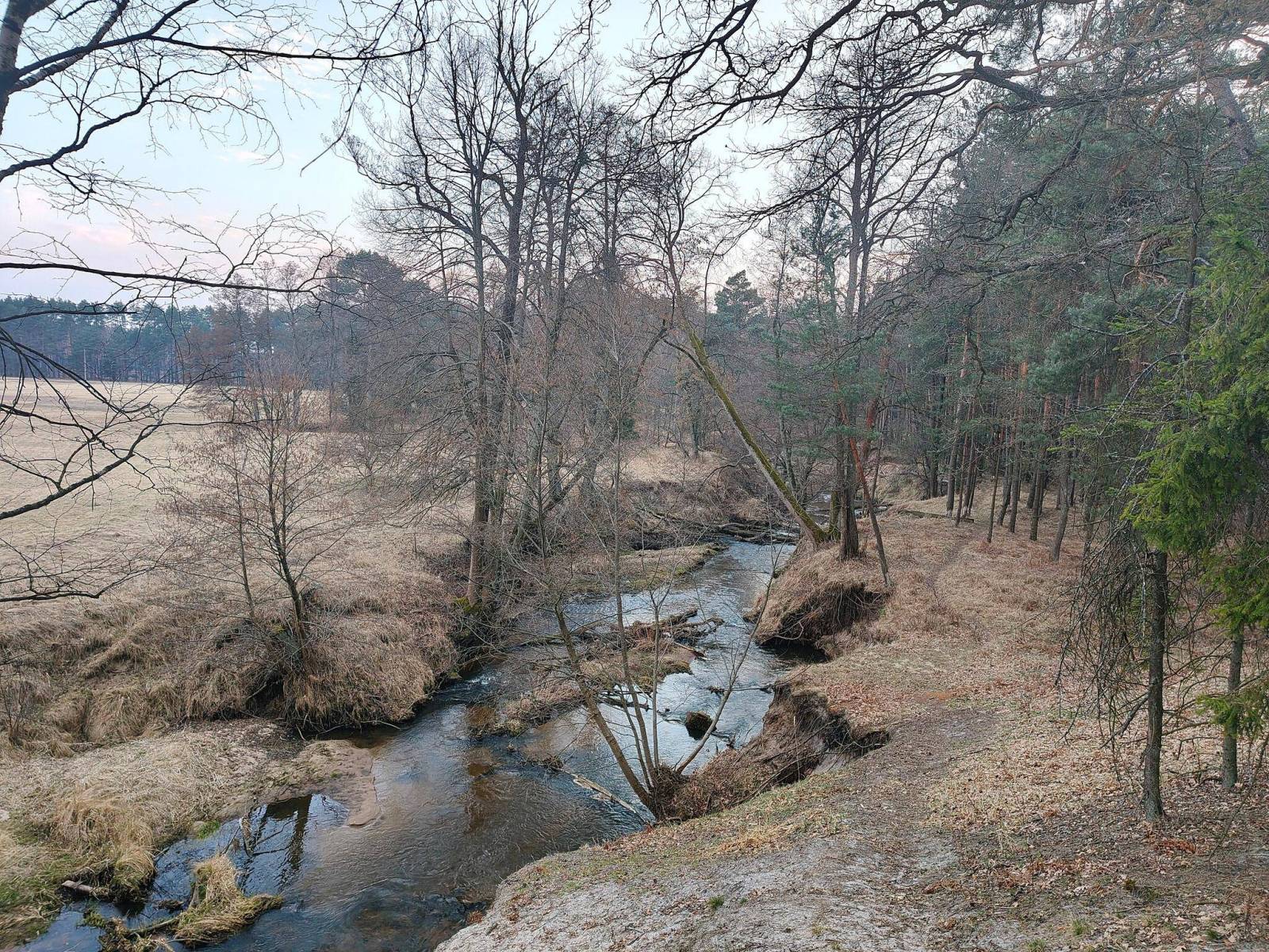 Zdjęcie 3