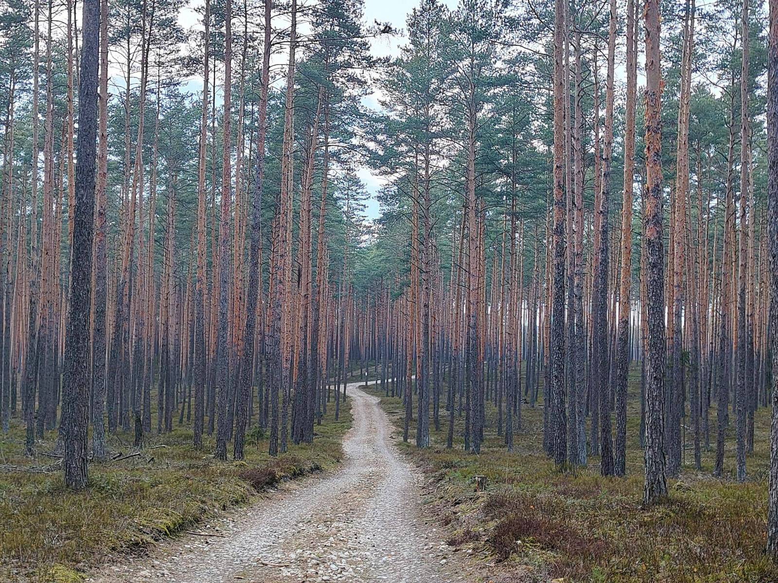 Zdjęcie 6