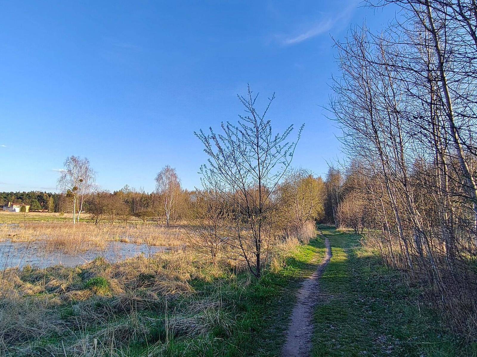 Zdjęcie 6