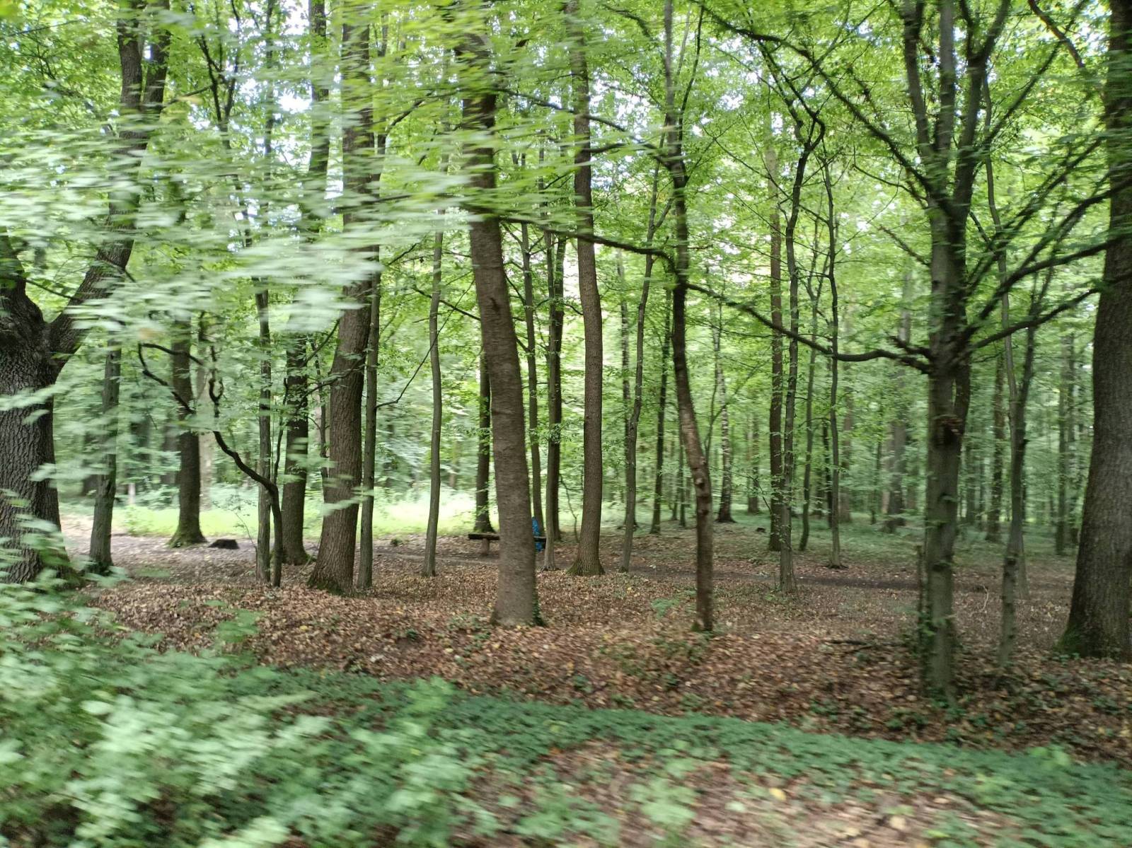 Zdjęcie 3