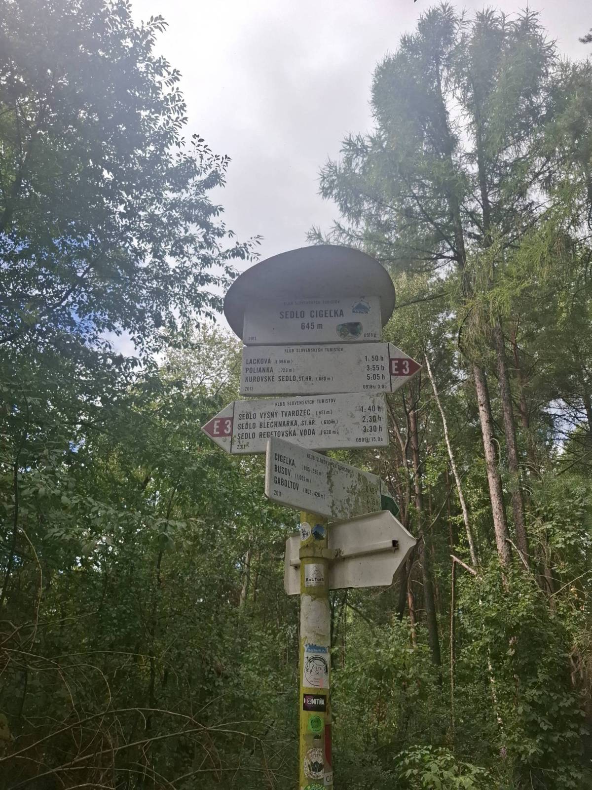 Zdjęcie 1