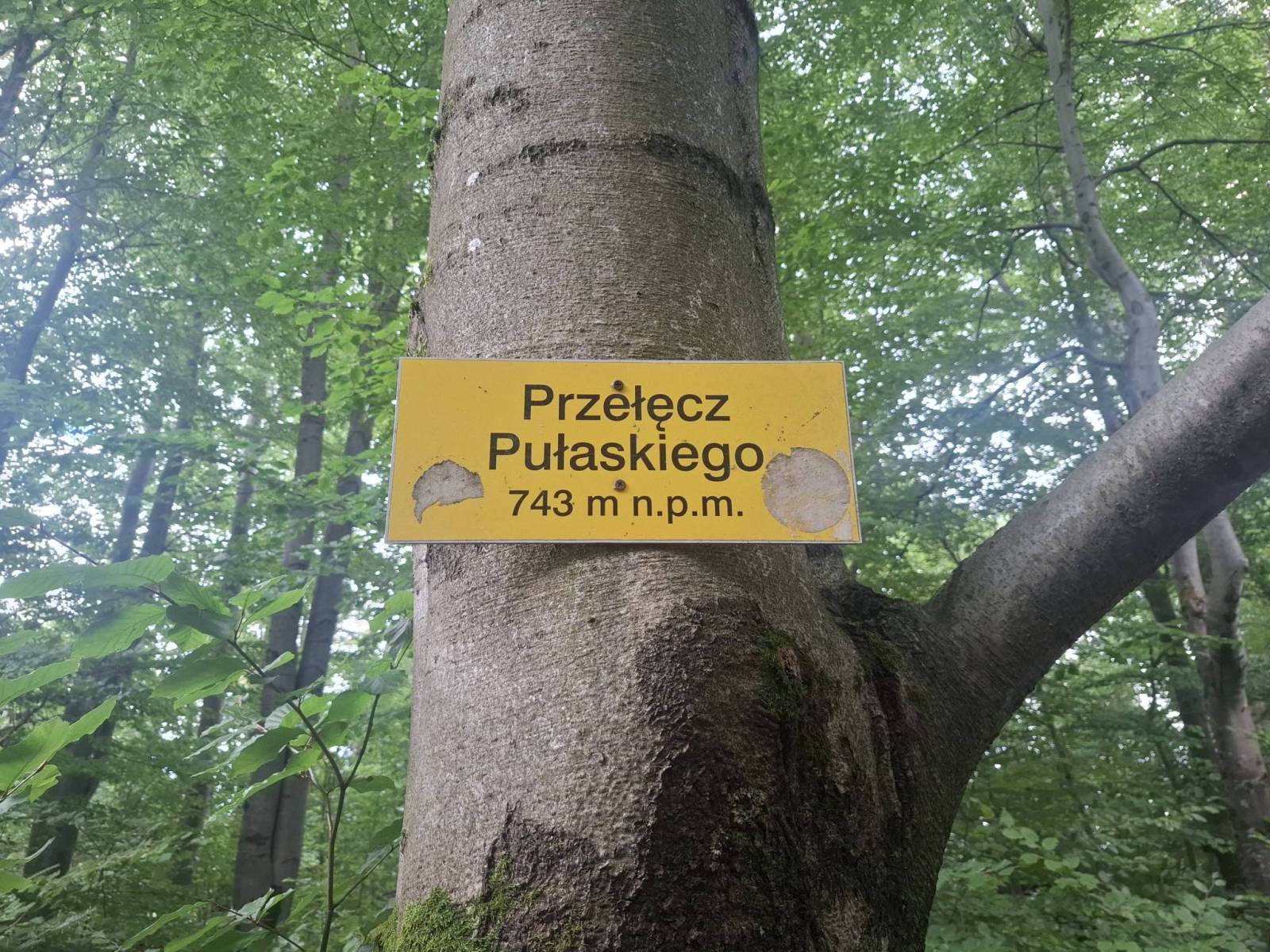 Zdjęcie 5