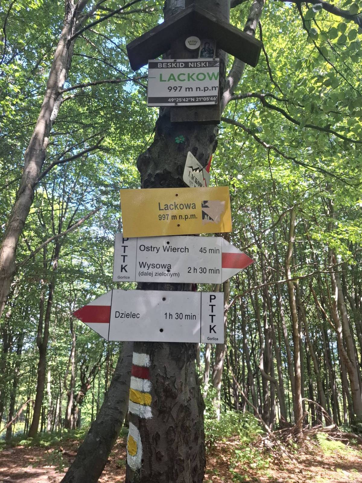 Zdjęcie 6