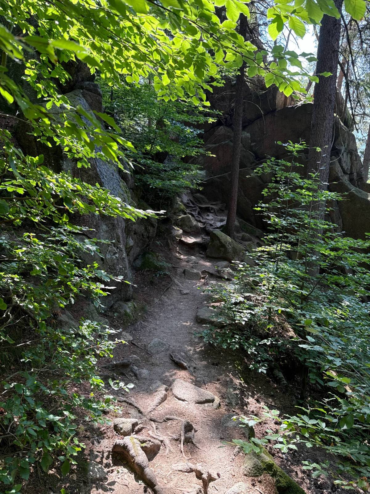 Zdjęcie 6