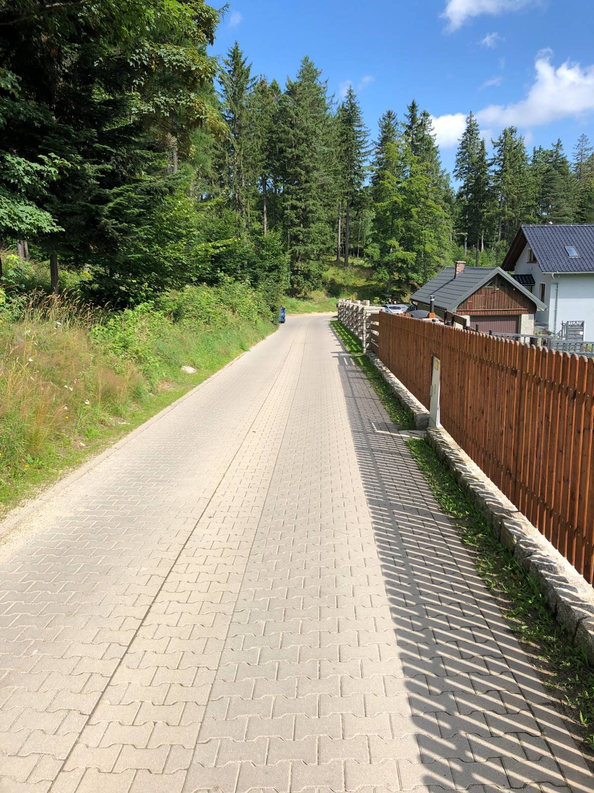 Zdjęcie 5