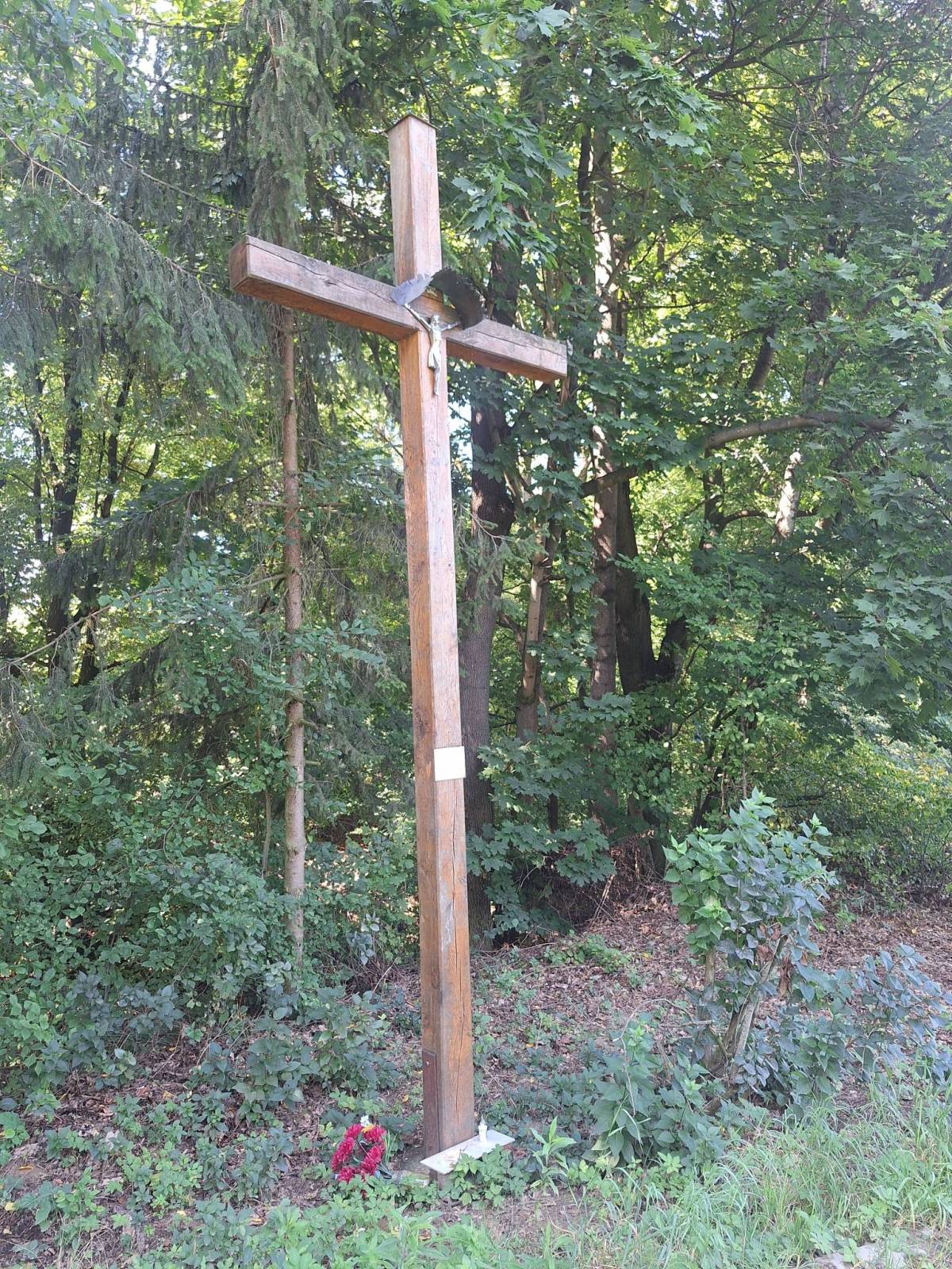 Zdjęcie 6