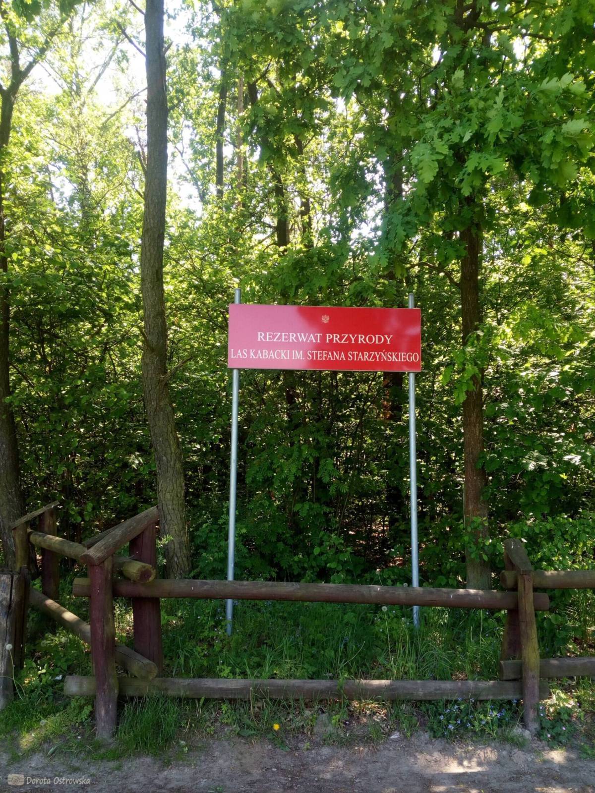 Zdjęcie 3