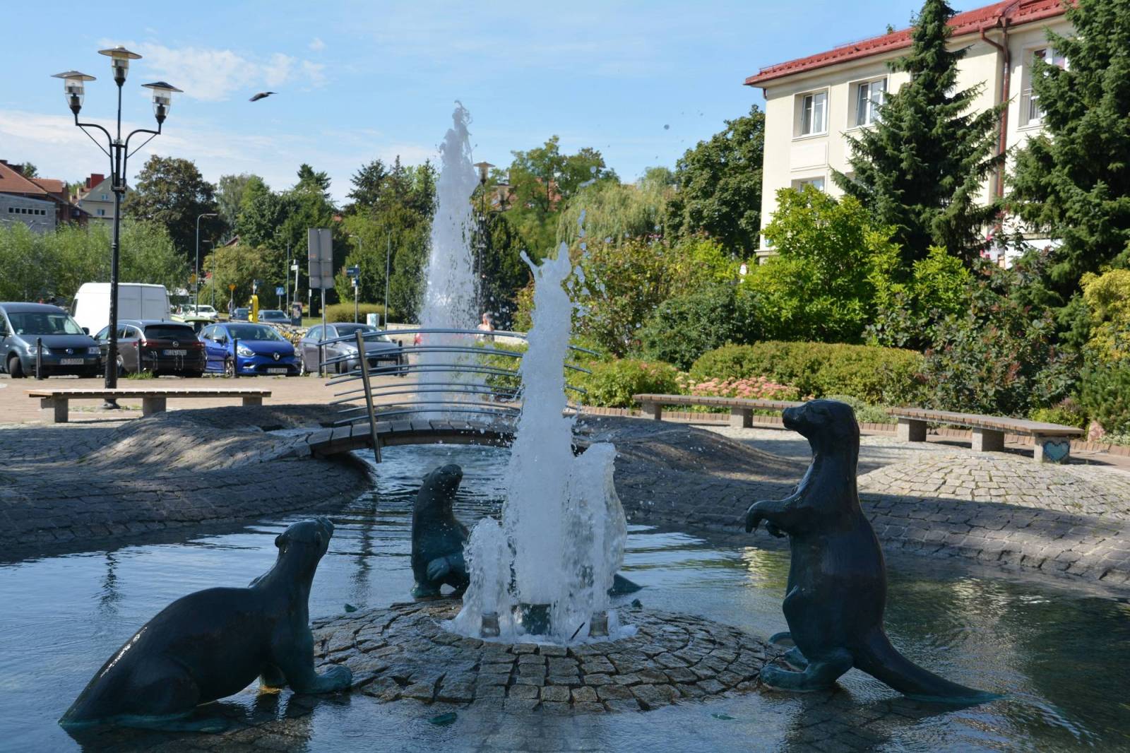 Zdjęcie 6