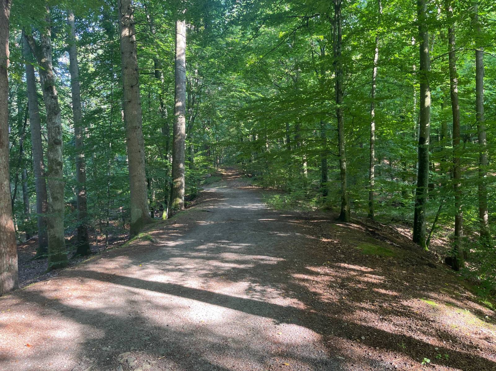 Zdjęcie 5