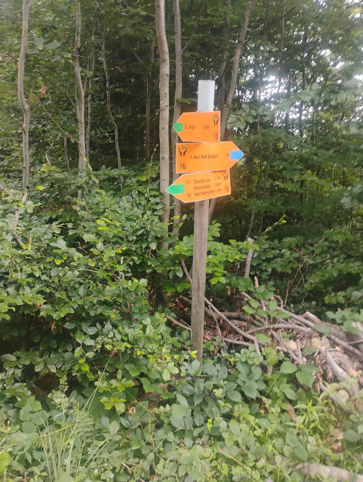 Zdjęcie 5