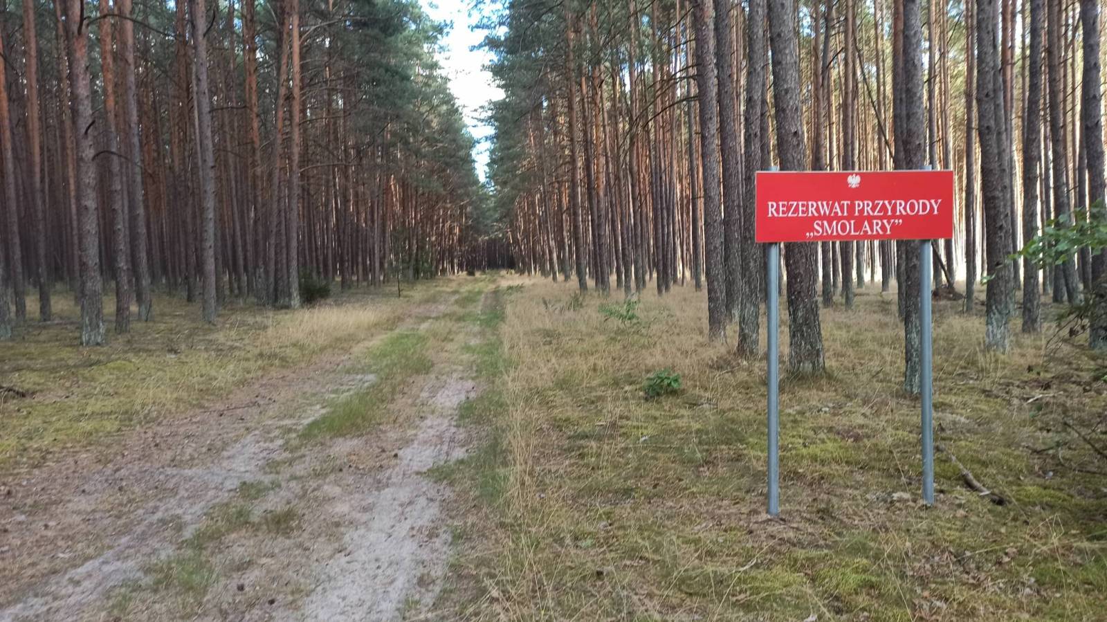 Zdjęcie 5