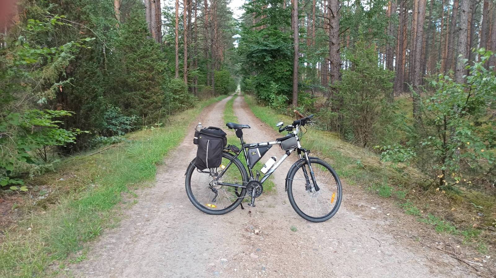 Zdjęcie 6