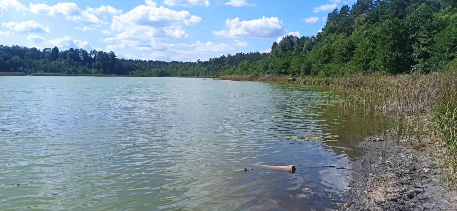 Zdjęcie 2