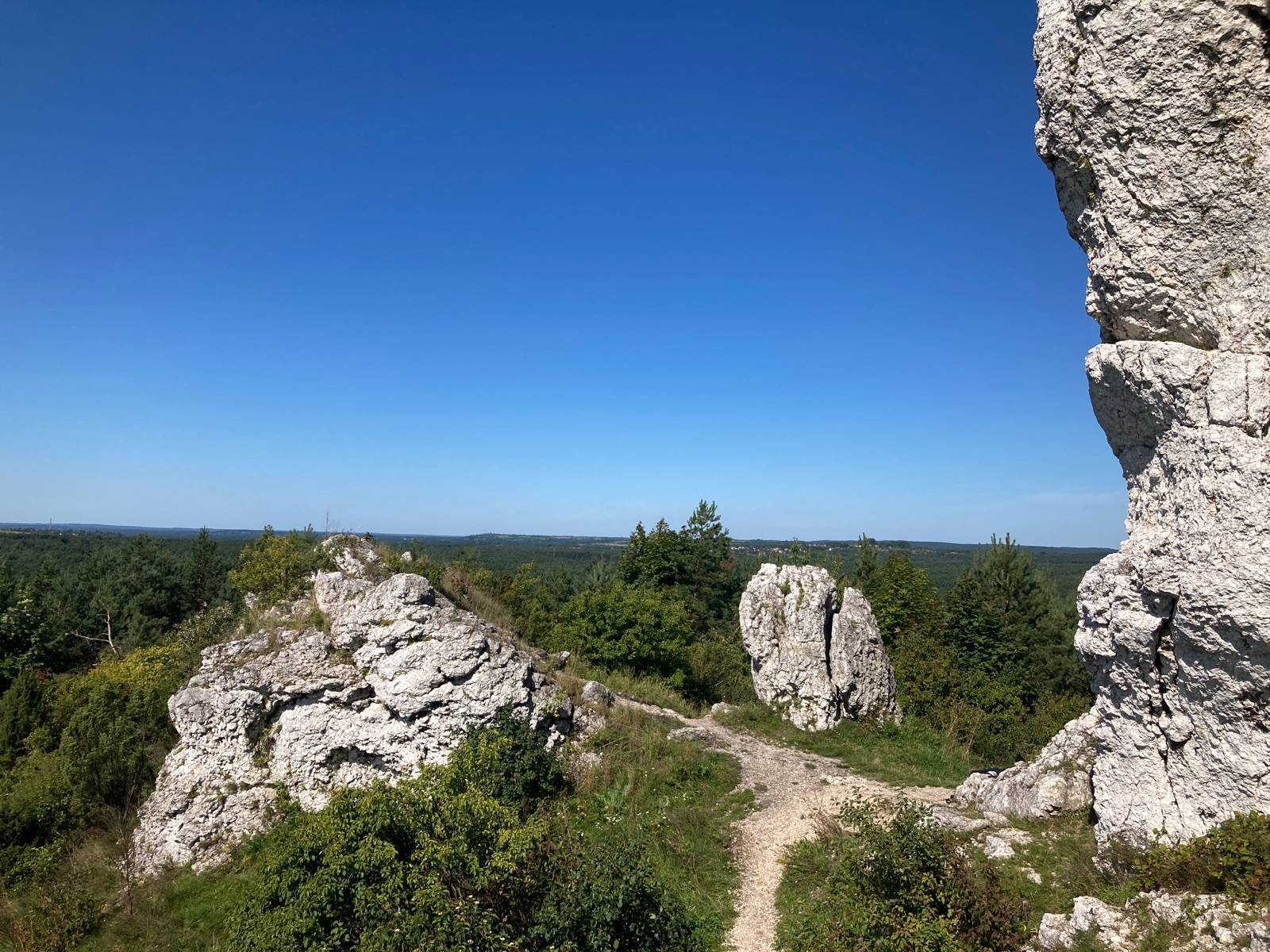 Zdjęcie 5