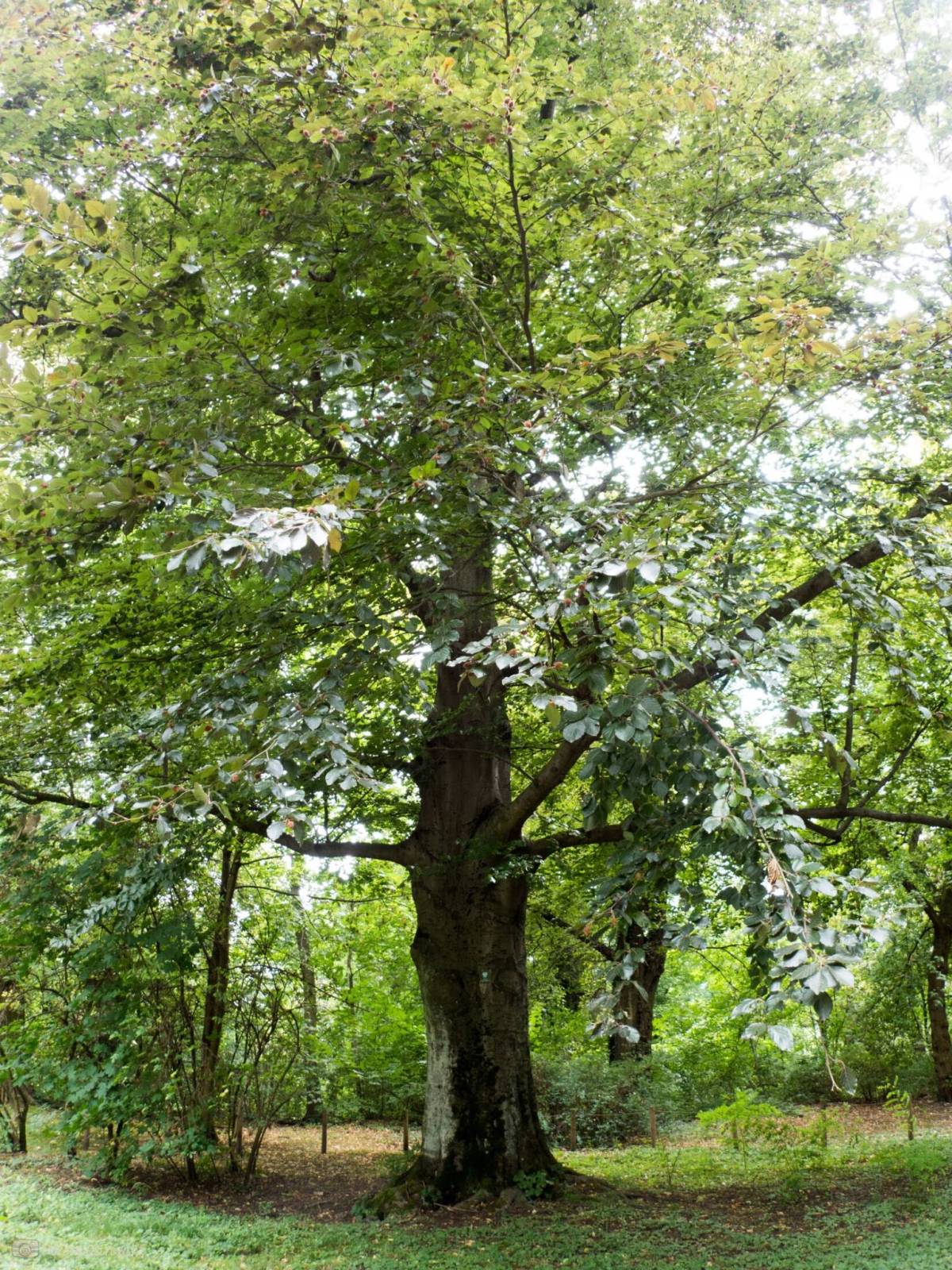 Zdjęcie 2