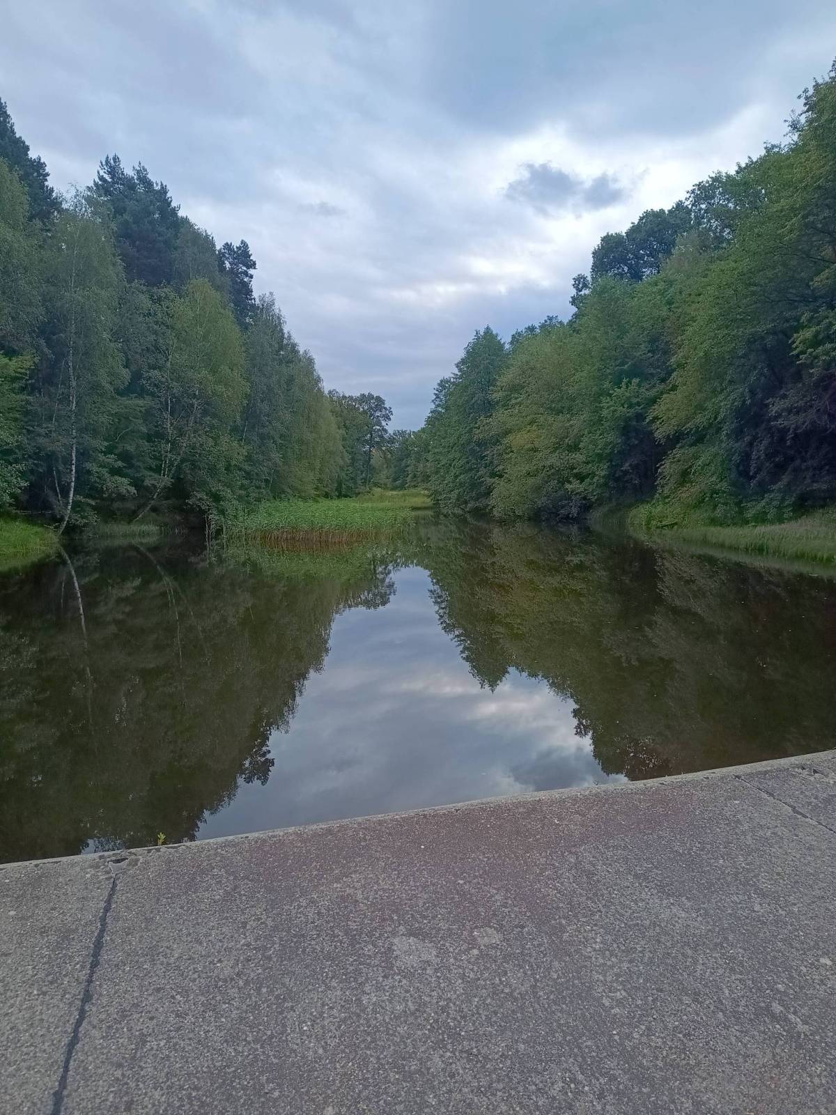 Zdjęcie 2