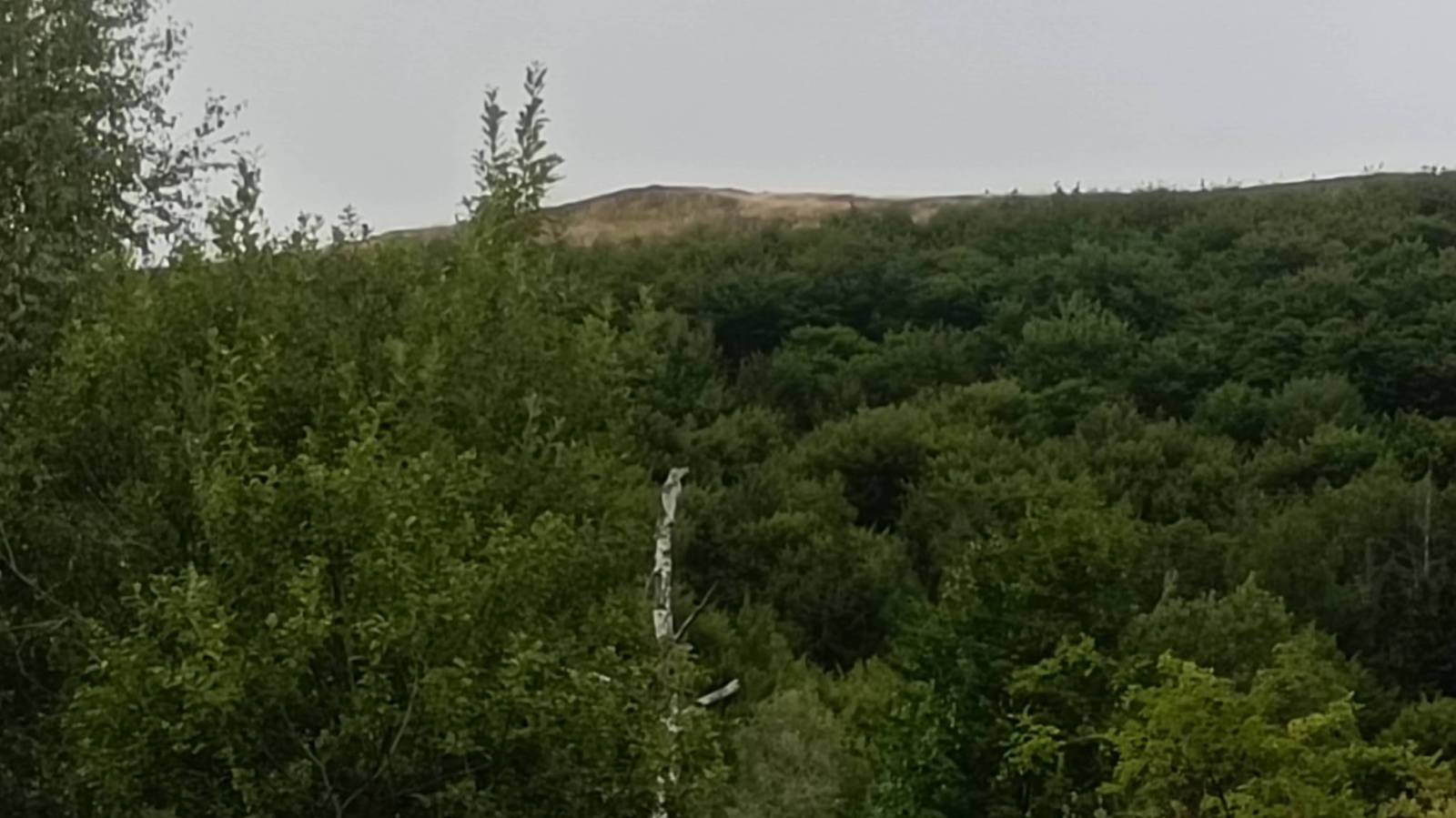 Zdjęcie 5