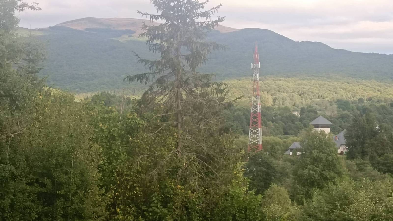 Zdjęcie 3