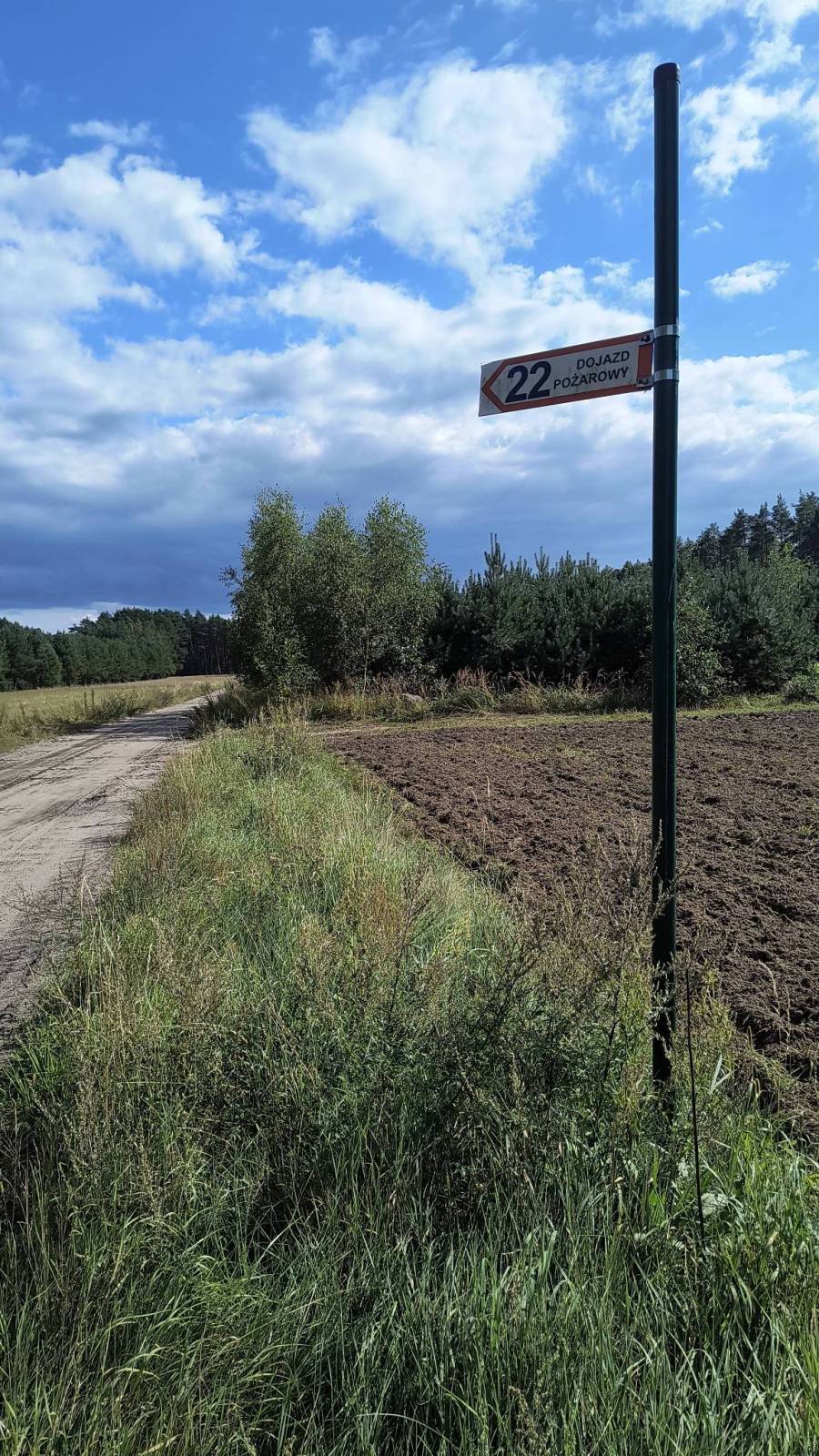 Zdjęcie 1