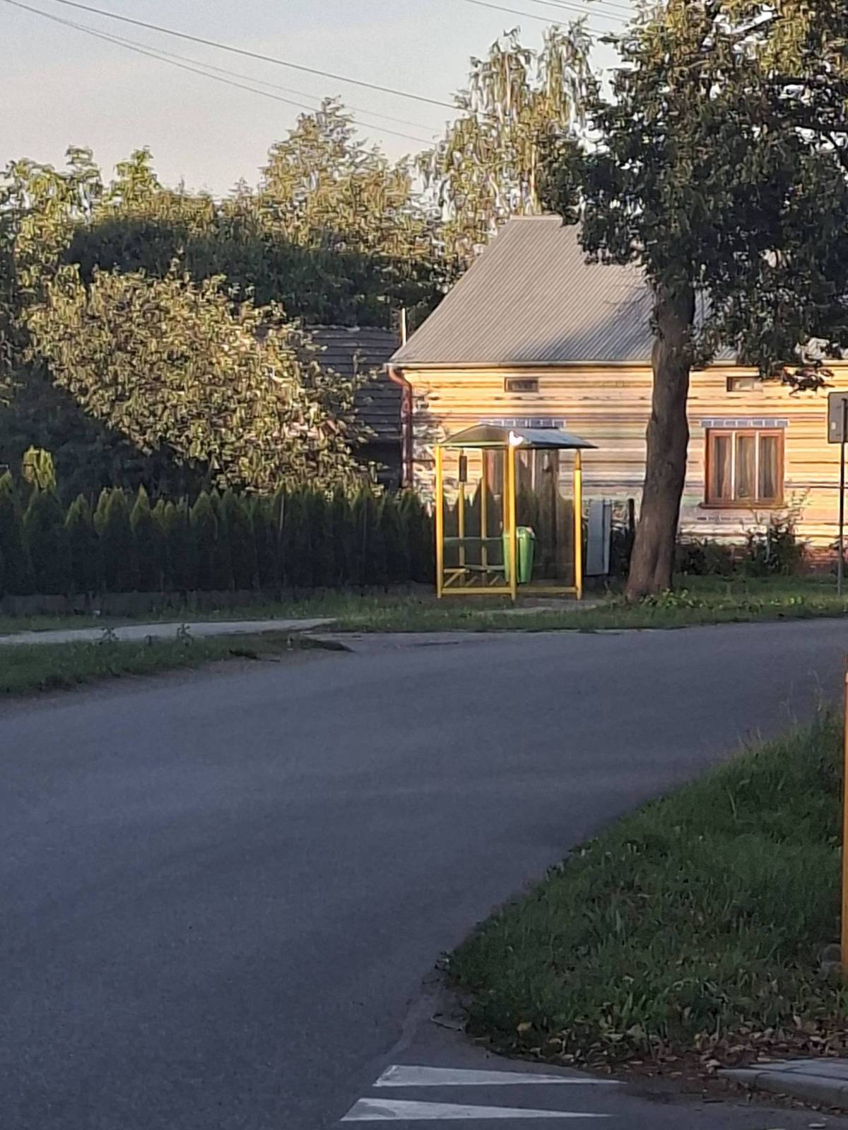 Zdjęcie 3