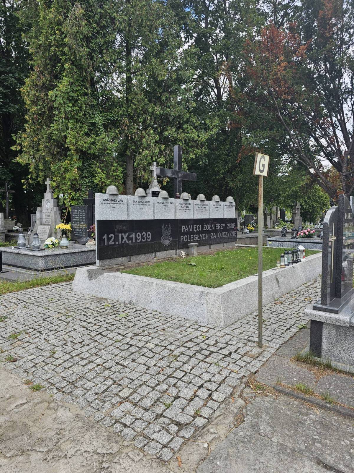 Zdjęcie 6