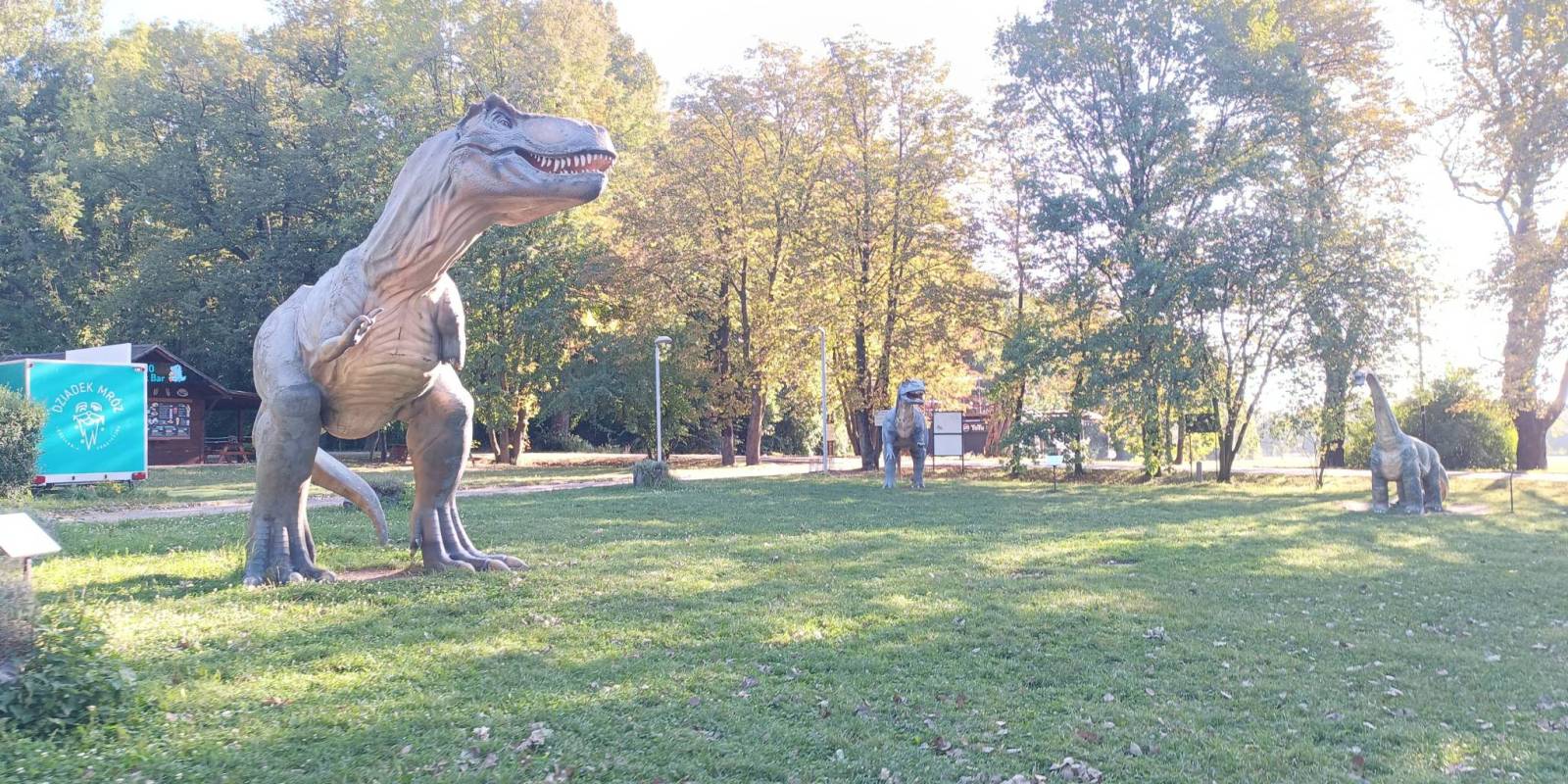 Zdjęcie 4