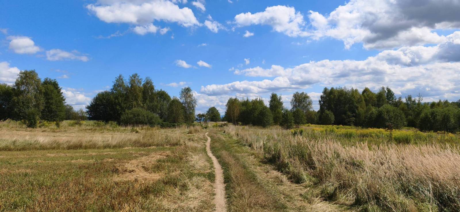 Zdjęcie 6