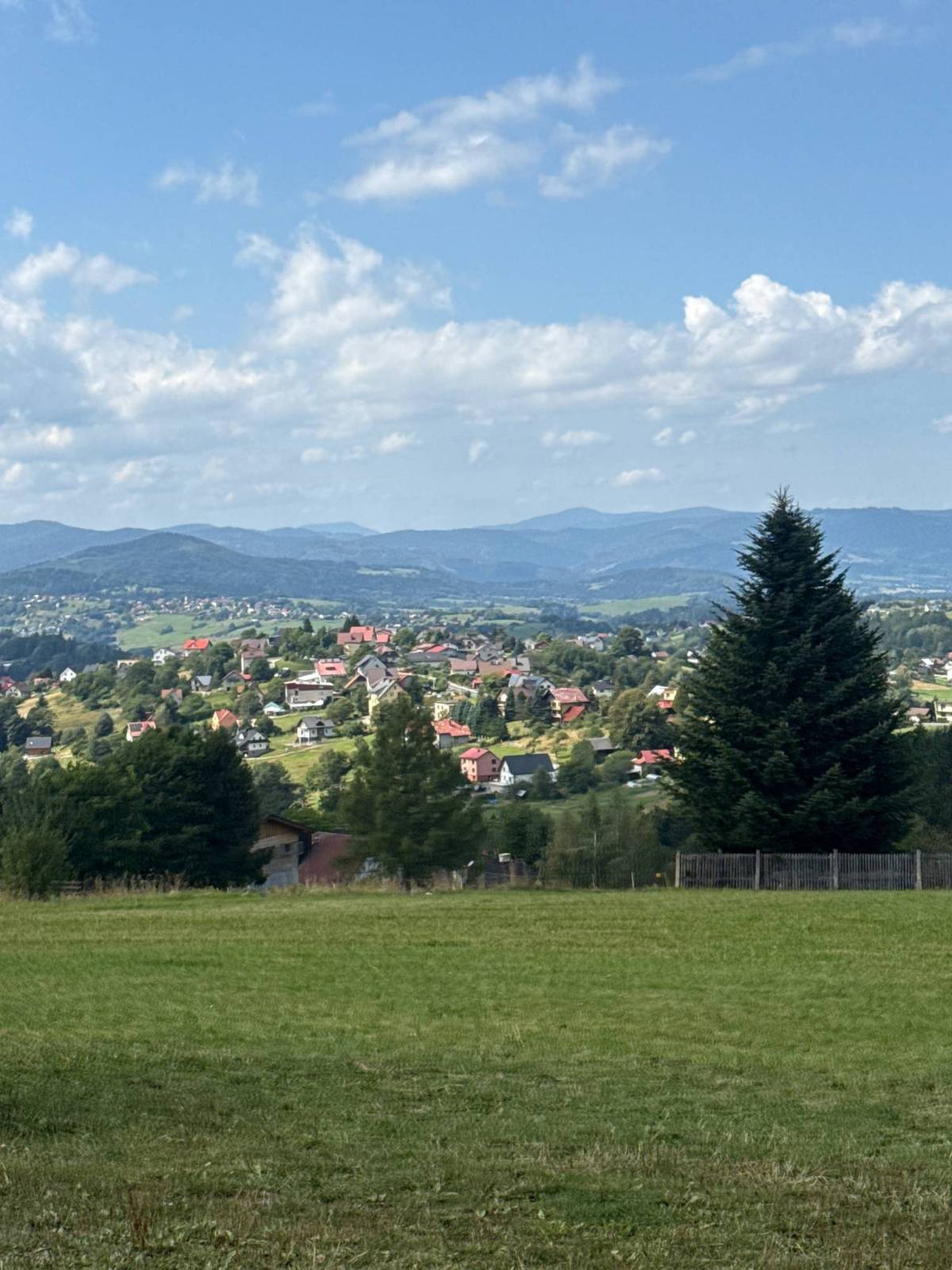 Zdjęcie 6