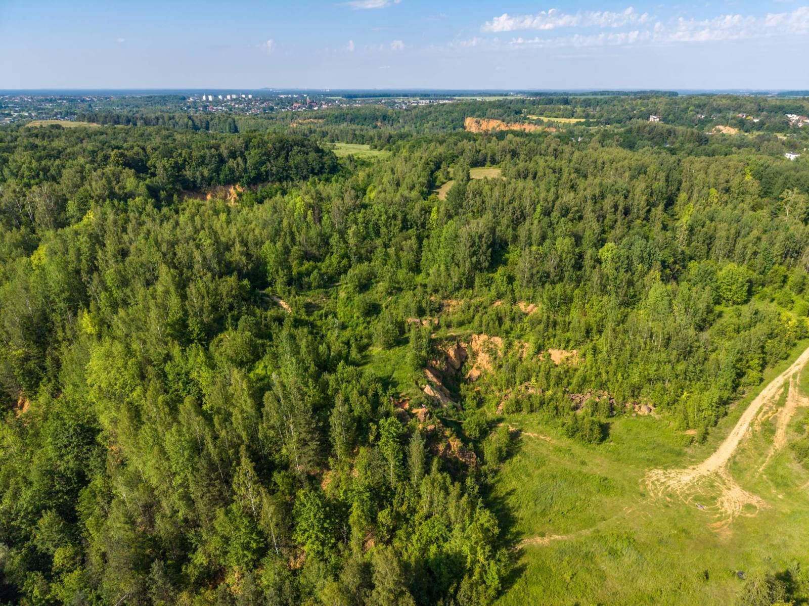 Zdjęcie 6